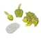 Insect Lore Frog Life Cycle Stages Figure Set 2610 - alternate 2
